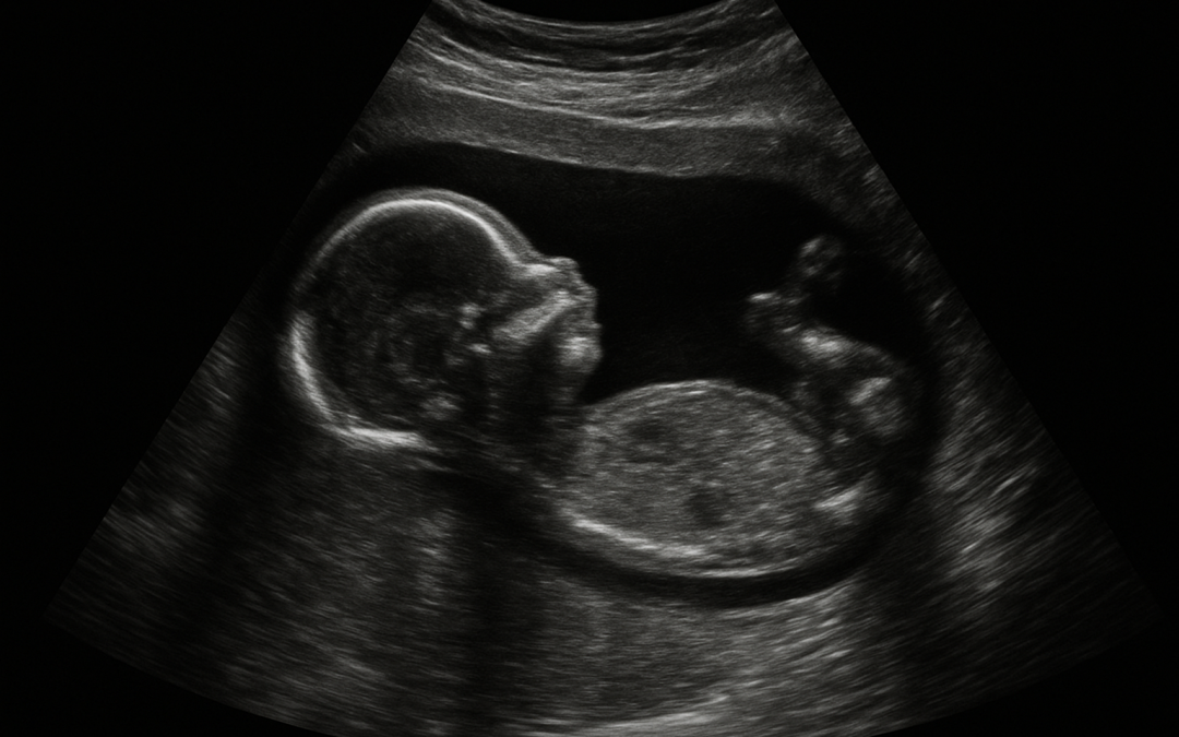 Échographie 3d : fille ou garçon, comment obtenir une visualisation fiable ?